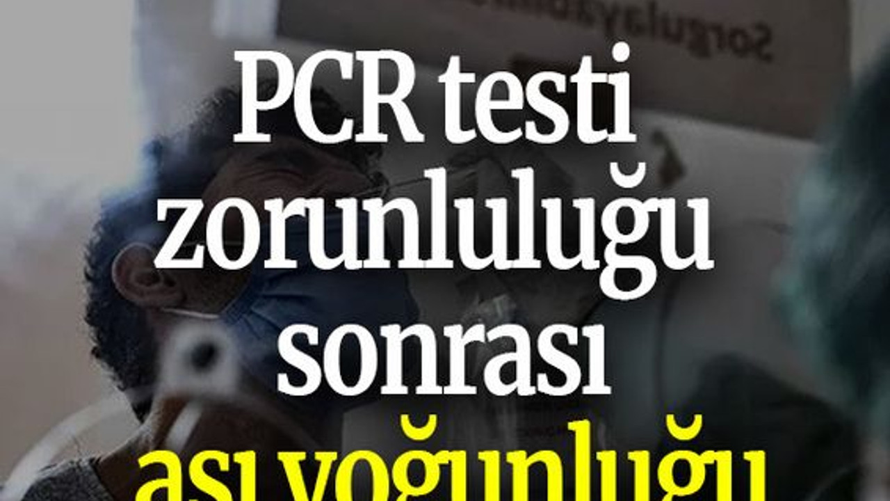 PCR testi zorunluluğu sonrası aşı yoğunluğu